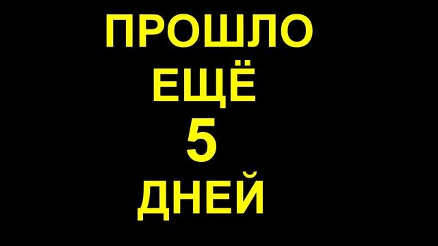 Дренажная канава, лопата FISKARS Ergonomic смотреть онлайн