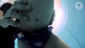 Грудничковое плавание «ТоТо» |Ян 2 года|