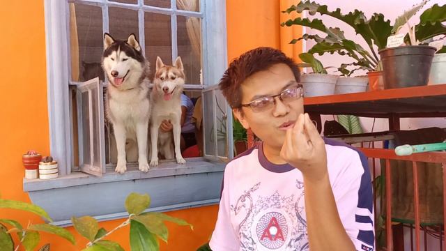 MOST AWESOME HOUSE PLANTS OF ALLAN TAMBAYAN in SAN MATEO RIZAL - PART 2 @AllanTambaYan смотреть онлайн