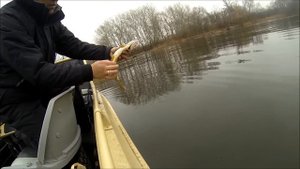 Рыбалка с лодки на Северском донце.