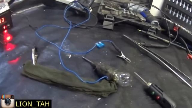 КИА РИО не заводится, ошибка по датчику коленвала смотреть онлайн