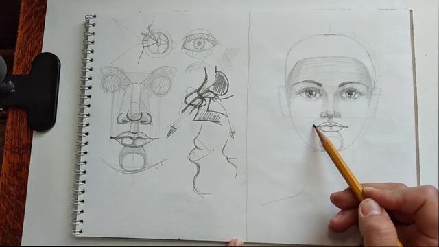 Как нарисовать портрет 3 урок Рисуем рот и подбородок смотреть онлайн