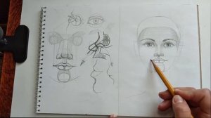 Как нарисовать портрет  3 урок  Рисуем рот и подбородок