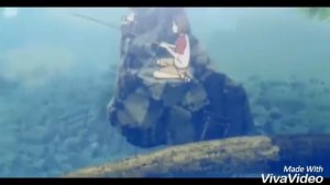 В лесу где мерцали светлячки