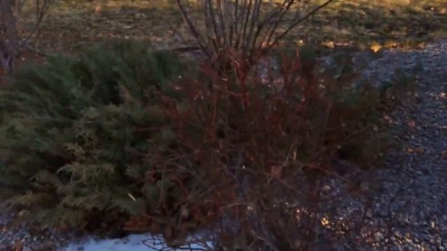 Ландшафтный дизайн церкви в нашем городе/ Готовим на ужин /landscape design at the church смотреть онлайн