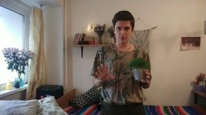 Солейролия - как, куда и зачем.