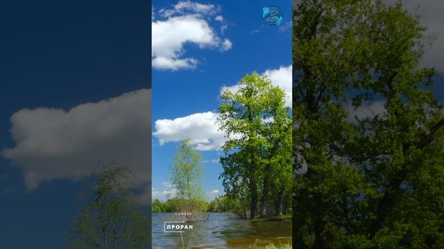 Вешние воды. Самарская область