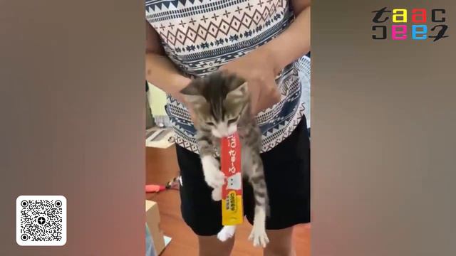 Я ржал до слез 😂 ТОП ОТБОРНЫХ приколов 2022. Смешные видео   Лучшие ПРИКОЛЫ  РЖАЧНЫЕ Моменты!!!