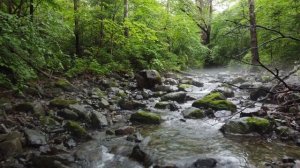 Горная река, Приморский край, Дальний Восток, Россия.