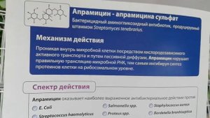 Лечим голубей. Апрамицын. Лечение опухолевых новообразований (фистул) у голубей.