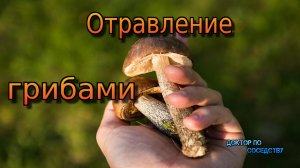 Отравление грибами