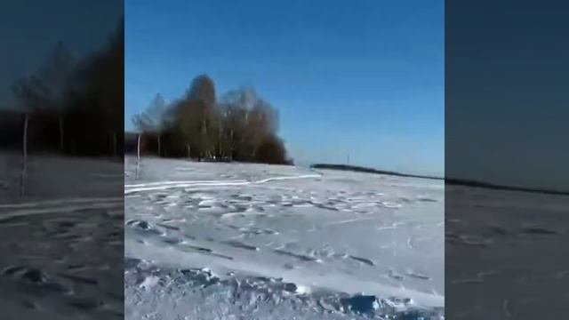 Машинка для метания тарелочек ПРОТОН-М. Видео от нашего покупателя из Новосибирска смотреть онлайн