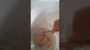 Работа перощипательной машины Волтера  ПМ-2 и результат забоя техасских перепелов