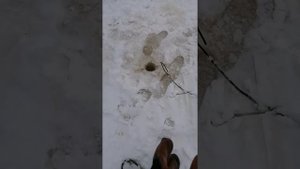 Ставим сети зимой/ подробная инструкция по установке сетей