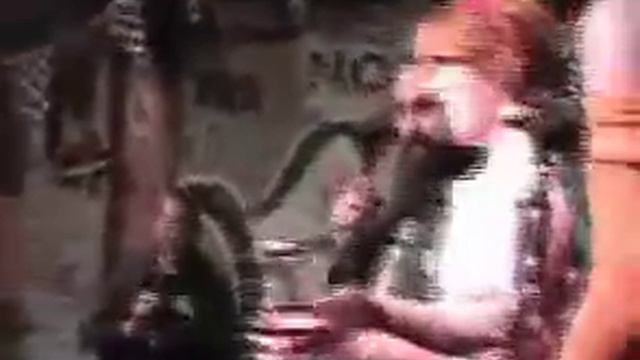 Insect warfare and Speed trials awards 2007 смотреть онлайн