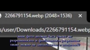 Как поставить любой фон профиля в Wot blitz?