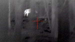 ATN Thor4 640 deer hunt