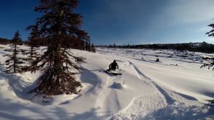 Экскурсионный фрирайд в Шерегеше