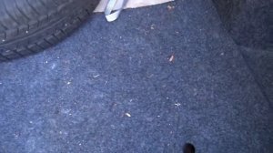 ГБО на Volkswagen Polo. Газ на Фольксваген Поло. Установка ГБО в Харькове.