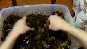 СУБСТРАТ ДЛЯ ЧЕРВЕЙ ДЕНДРОБЕНА