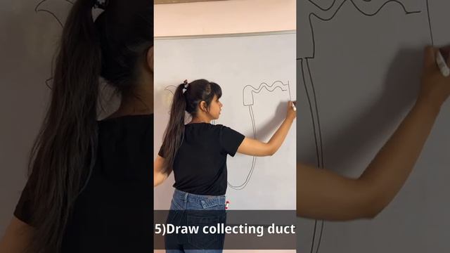 How to draw #nephron diagram in easy steps |10th | Biology |Science | CBSE syllabus|NCERT class 10 смотреть онлайн