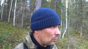 Охота на боровую дичь с манком. 2020. Отличная охота!