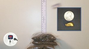 Minelab Gold Monster 1000 Depth Test - Big Coil VS Small Coil