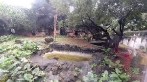 САМЫЙ СТАРЫЙ и действующий зоопарк в Гуанчжоу + в конец БОНУС!