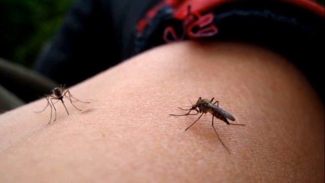 10 супер полезных способов использования мыла в быту