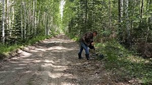 ДОРОГА УСЫПАНА МЕТАЛЛОМ  #газ69 #коп #металлокоп #сибирь #тайга #тх850