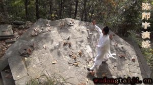 Wudang Ba Gua Form （八卦掌）