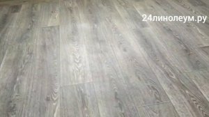 Самый прочный линолеум Таркетт Форс 1 комнатная Караульная 38 без приклейки