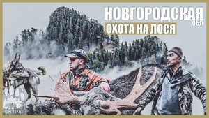 ДОБЫЛИ БОЛЬШОГО БЫКА! ОТКРЫЛИ СЕЗОН ОХОТЫ.