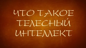 Восточные единоборства для детей с особенностями развития (аутизм)
