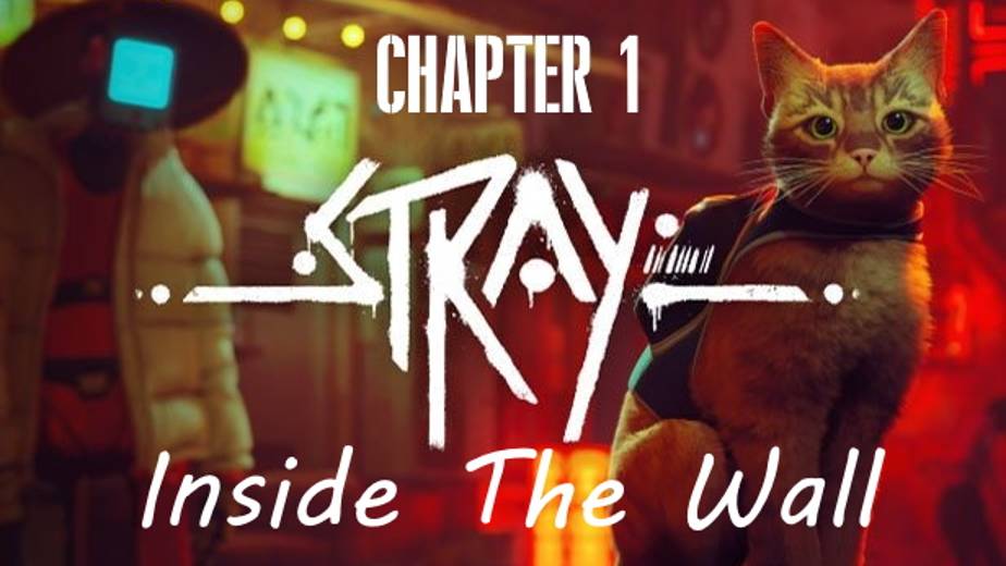 Stray Gameplay 4K UHD. Chapter 1: Inside The Wall