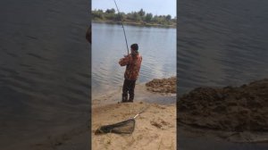 Сазан на Ахтубе . Ловля сазана. Ахтубинский трофей. Трофей на Ахтубе