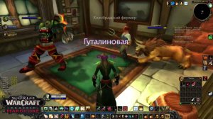 World of Warcraft hardcore classic играю в соло за жреца орда №8 25-27 лвл