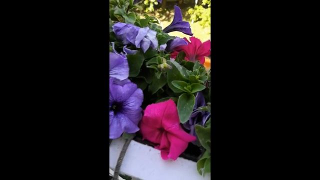 Влог #1. О чем будет этот канал смотреть онлайн