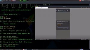 Hacking web cam using festive message and youtube live video!