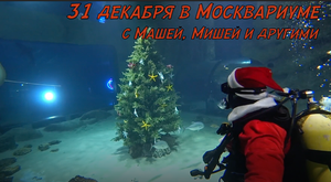 Новый Год в Московском океанариуме на ВДНХ. Дайвинг в океанариуме.