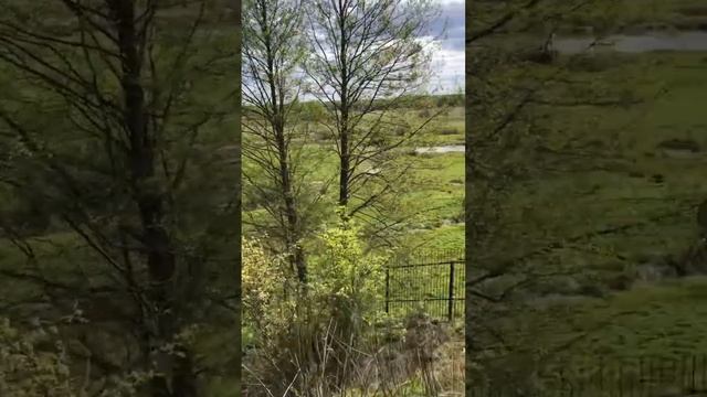 Территория Никольской церкви в с. Филипповском Киржачского района #дневникарзамасцевых #святыеместа смотреть онлайн