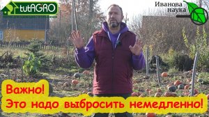 НЕМЕДЛЕННО ИЗБАВЬТЕСЬ ОТ ЭТОГО! Не несите в новый год! Выбросьте из дома и с участка, не откладывая.