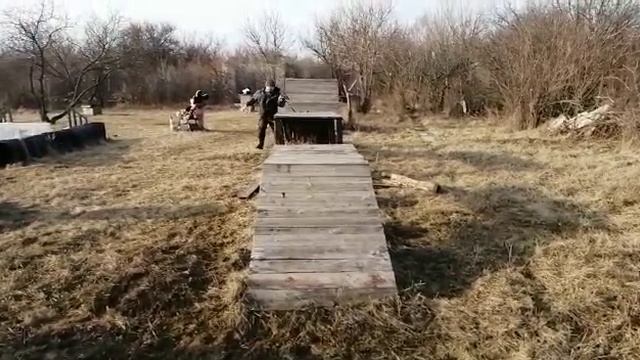 Выпускница нашего питомника - Хедда Янкор Кримеа, 7,5 месяцев, прыжок через ров