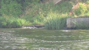 Катер "Бриз" Р 5209 МГ