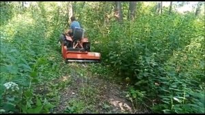 Расчистка заброшенного участка