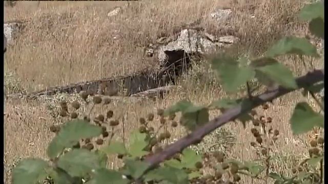 La mémoire retrouvée du camp de Montreuil-Bellay смотреть онлайн