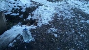 Источник в Старопышминске