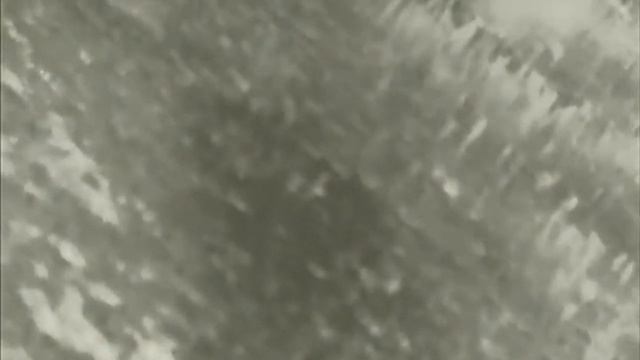 iRay MH25 aka ChinaSkeet filming downed hogs then seeing more смотреть онлайн