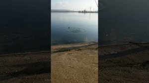 Рыбалка в Заинске