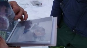 КОЛТУШИ | ПАВЛОВО | КОЛТУШСКОЕ ОЗЕРО | ИНТЕРВЬЮ ОТ ОПЫТНОГО СПЕЦИАЛИСТА | ГЛУХОЗИМЬЕ